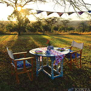 Picnic & safari