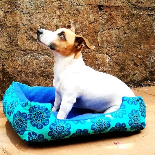 Pet Bed