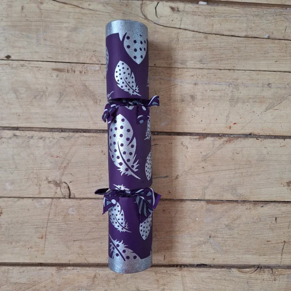 Silver Christmas Cracker 017 (single): purple with silver feathers